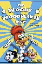 Watch The Woody Woodpecker Show Myflixer