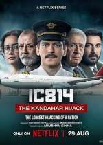 Watch IC 814: The Kandahar Hijack Myflixer