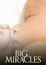Watch Big Miracles Myflixer