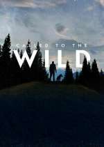 Watch Called to the Wild Myflixer