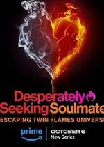 Watch Desperately Seeking Soulmate: Escaping Twin Flames Universe Myflixer