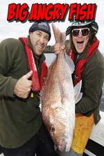Watch Big Angry Fish Myflixer