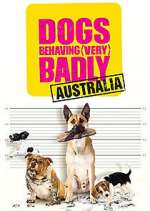 Watch Dogs Behaving (Very) Badly Australia Myflixer
