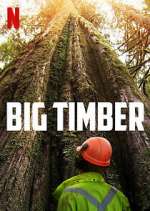 Watch Big Timber Myflixer