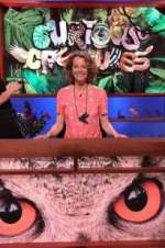 Watch Curious Creatures Myflixer