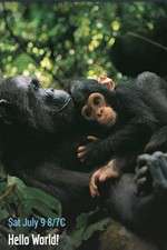 Watch Hello World! Myflixer