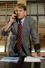 Watch Andy Barker, P.I. Myflixer