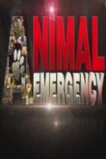 Watch Animal Emergency Myflixer