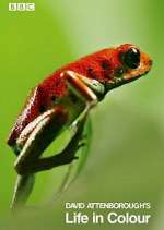 Watch Attenborough's Life in Colour Myflixer