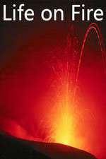 Watch Life on Fire Myflixer