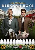 Watch The Fabulous Beekman Boys Myflixer