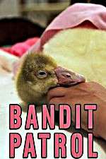Watch Bandit Patrol Myflixer