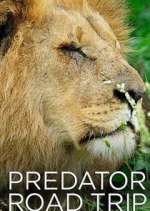 Watch Predator Road Trip Myflixer