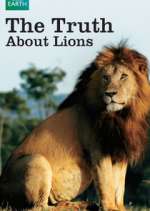 Watch The Truth About Lions Myflixer