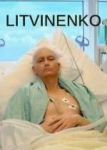 Watch Litvinenko Myflixer