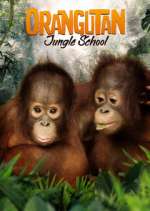 Watch Orangutan Jungle School Myflixer