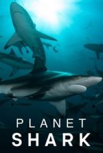 Watch Planet Shark Myflixer