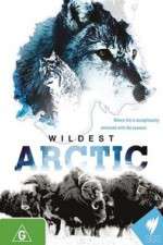 Watch Wildest Arctic Myflixer