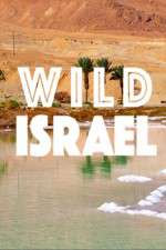 Watch Wild Israel Myflixer