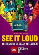 Watch See It Loud: The History of Black Television Myflixer
