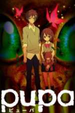 Watch Pupa Myflixer