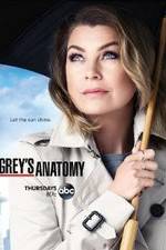 Watch Grey's Anatomy Myflixer