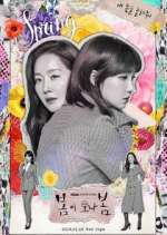 Watch Spring Turns to Spring Myflixer