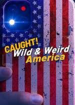 Watch Wild & Weird America Myflixer