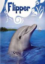 Watch Flipper Myflixer