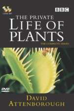 Watch The Private Life of Plants Myflixer