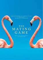 Watch The Mating Game Myflixer