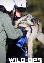 Watch Wild Ops Myflixer