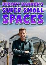 Watch Dermot Bannon's Super Small Spaces Myflixer