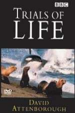Watch The Trials of Life Myflixer