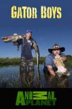 Watch Gator Boys Myflixer