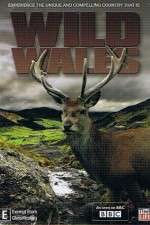 Watch Wild Wales Myflixer