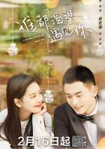 Watch Everyone Wants to Meet You Myflixer