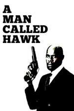 Watch A Man Called Hawk Myflixer