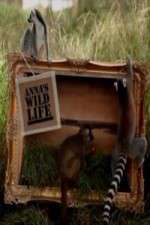 Watch Anna's Wild Life Myflixer