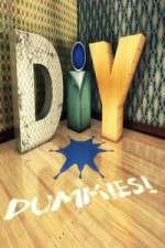 Watch DIY Dummies Myflixer