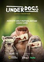 Watch Underdogs Myflixer
