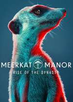 Watch Meerkat Manor: Rise of the Dynasty Myflixer
