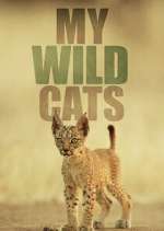 Watch My Wild Cats Myflixer