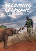 Watch Becoming Elephant: The Orphans Of Reteti Myflixer