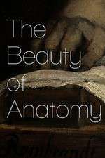Watch The Beauty of Anatomy Myflixer