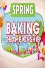 Watch Spring Baking Championship Myflixer