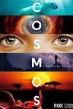 Watch Cosmos A SpaceTime Odyssey Myflixer