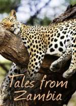 Watch Tales from Zambia Myflixer