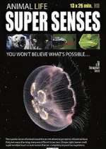 Watch Super Senses Myflixer