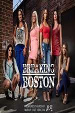 Watch Breaking Boston Myflixer